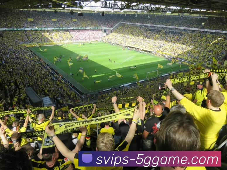 5G电子模拟器官网服务体系